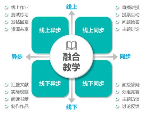 安家致富的路径探索，多元能力与智慧的结合