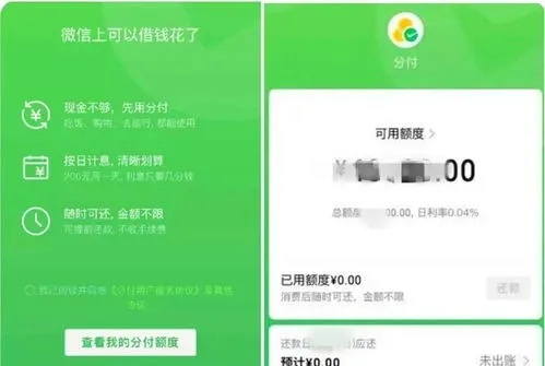 晚上找谁套出来微信分付，深度解析与注意事项