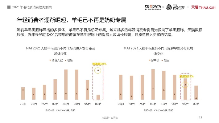 羊羔绒床垫网购关键词优化策略分析