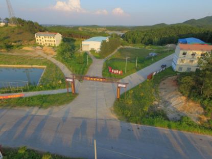 山村种植之路，探寻致富之道