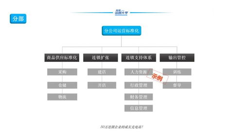 携程加盟装修指南，条件、流程与策略