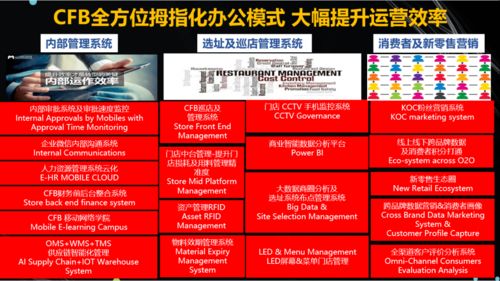 过去投资什么项目致富，回顾成功之路与洞察未来趋势