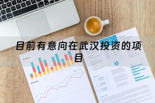 武汉做什么好致富，探寻商机与发展策略