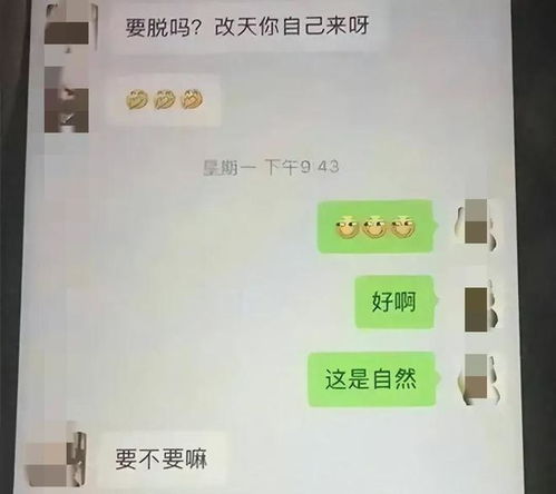 掌握隐私保护的艺术，如何查询不良信息聊天记录