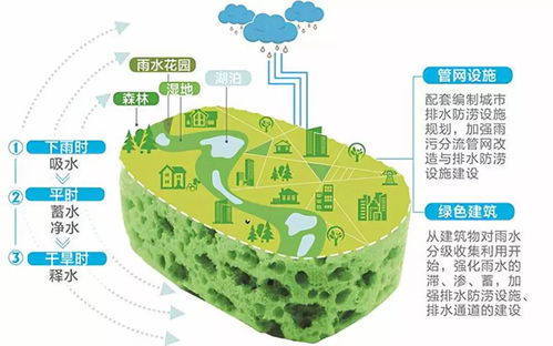 成都水文监测公司，引领城市水文发展，保障水资源可持续利用