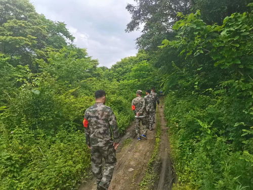 安吉水文监测，守护绿水青山的科技力量