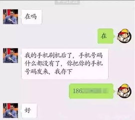 掌握隐私保护的艺术，如何安全地查询手机号码的聊天记录