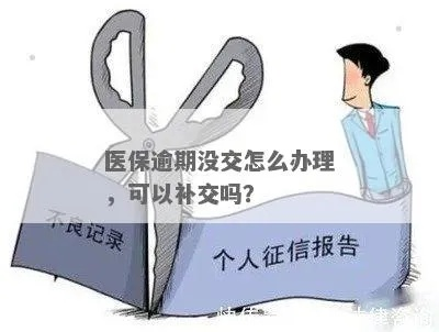 医保过期未交怎么办，理解政策与应对之策