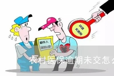 医保过期未交怎么办，理解政策与应对之策