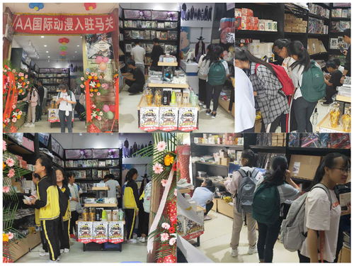 内江知名装修加盟品牌店，探索成功之路与加盟前景