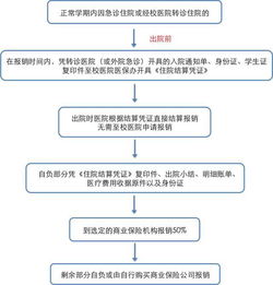 安徽省直医保报销比例与流程详解