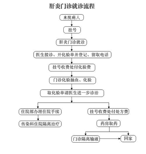 特殊医保办理流程详解