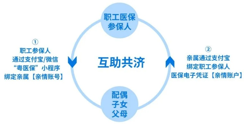 医保卡共用设置指南，如何便捷地共享医疗资源