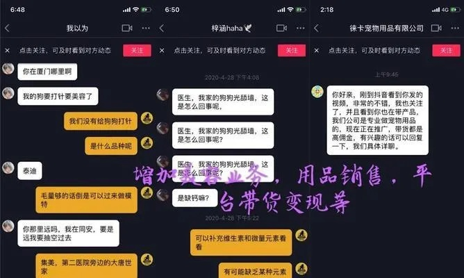 隐私边界，揭秘抖音聊天记录的隐秘世界