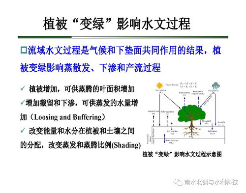 水文监测中的XY轴，理解与应用