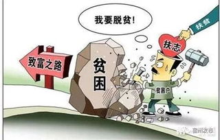 脱贫致富，激发内生动力与探索多元路径的双向驱动