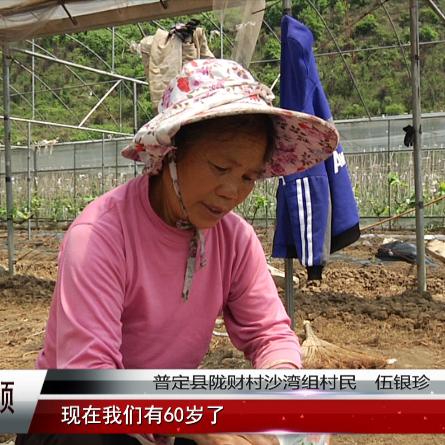 地理种什么能致富——探索地域优势作物种植与经济发展之路