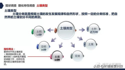 气象水文监测要素，全面解析与重要性探讨