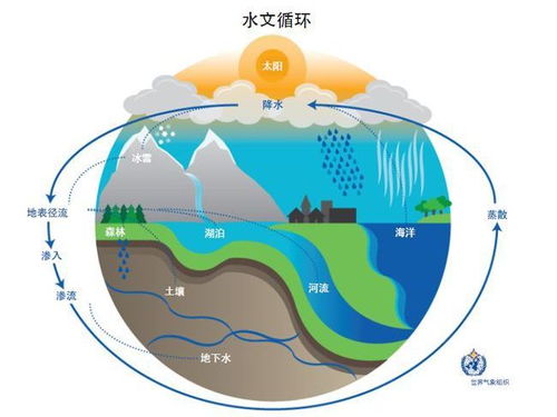 气象水文监测要素，全面解析与重要性探讨