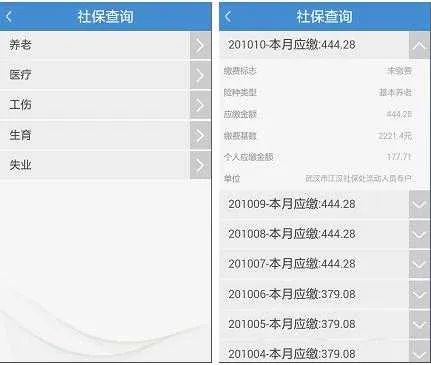 医保卡清单查询方法与步骤详解