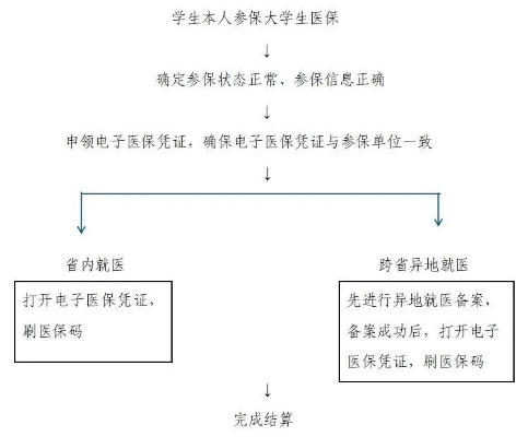 大学生医保转社保的详细流程与注意事项