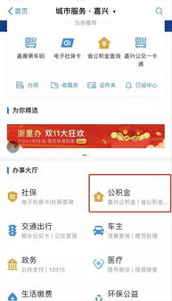 杭州公积金账户查询指南