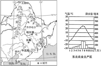 东北地区的致富项目探索与机遇分析