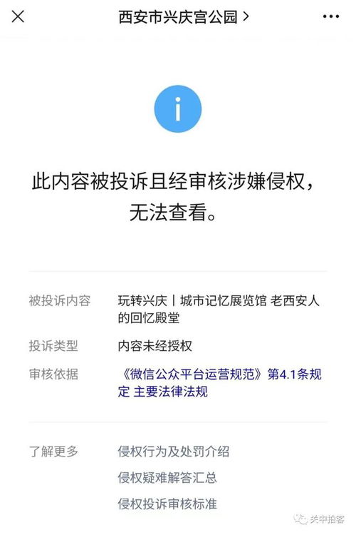 微信分付套出来到微信，犯罪行为的解析与警示