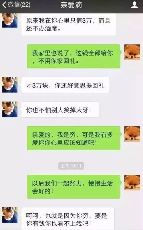 如何能远程查看他人聊天记录,揭秘远程查看他人聊天记录的真相与挑战