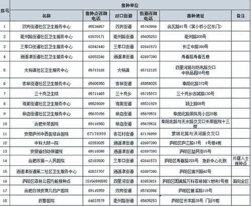 合肥酒店查疫苗记录,合肥酒店查疫苗记录，细节解析与实际操作指南