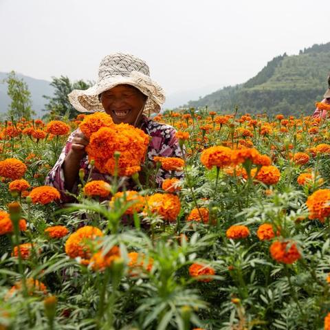 瑞士靠什么致富，深度探究其经济繁荣的背后