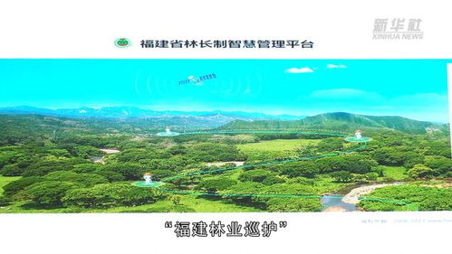 兴山市水文监测，守护水资源的科技力量