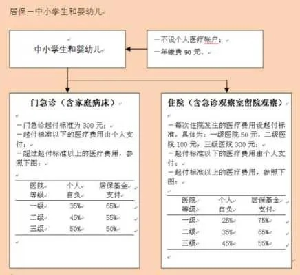 小孩子办医保，流程详解与注意事项