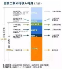 公积金办理全攻略，企业与员工共同的财务保障