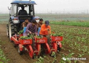 农村致富的利器，农业机械化的力量