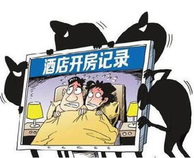 关于如何查酒店入住记录网站，违法犯罪问题及风险警示