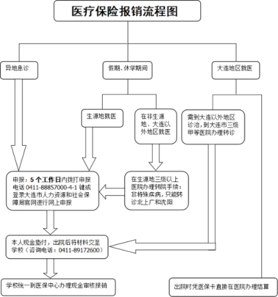 全面解读医保办理流程及所需费用