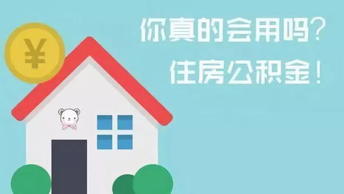 住房公积金的诞生与演变