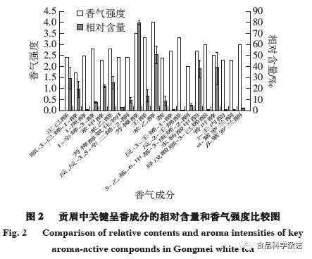 水文监测体系的多维构成及其重要性