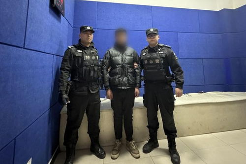 特警为什么查酒店记录,特警查酒店记录的背后原因与重要性，多维度解析与表格数据展示