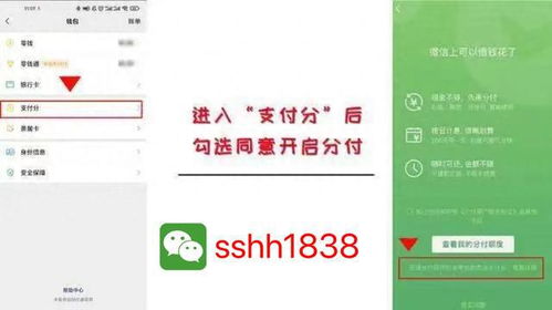 正规微信分付套出操作指南，商家的步骤与注意事项