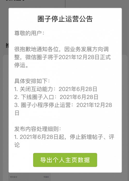 微信分付功能解析，能否套现及其安全性探讨