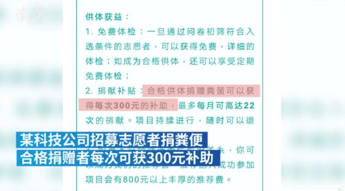 海南致富项目的多元探索与机遇分析