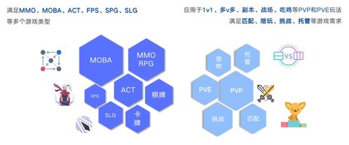 海南致富项目的多元探索与机遇分析