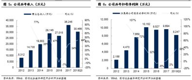 现在什么项目致富最快，探索高潜力盈利领域