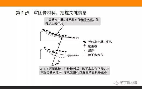 森林水文指标监测，守护生态平衡的关键手段