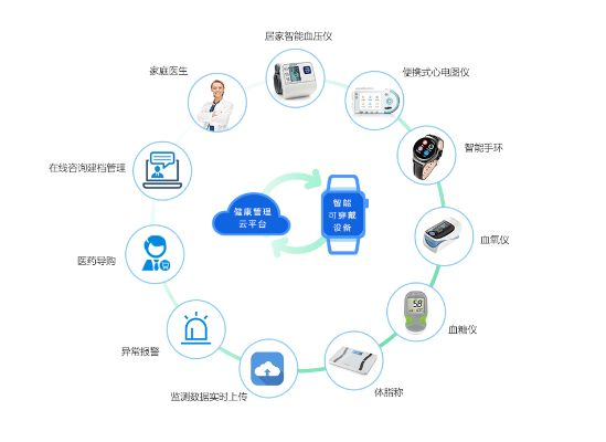 创新科技下的水文监测与心率监测——智能心率手环的综合应用