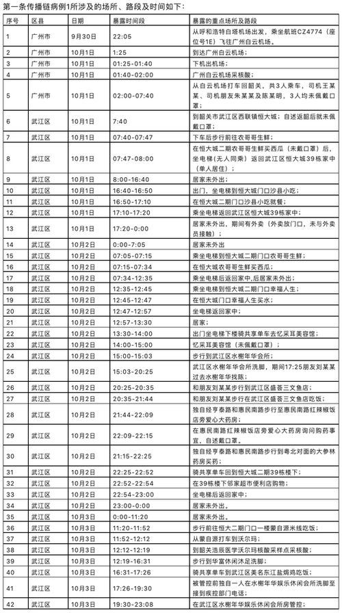 酒店现在查不查体温记录,酒店现在查不查体温记录，探究疫情背景下的酒店健康管理措施