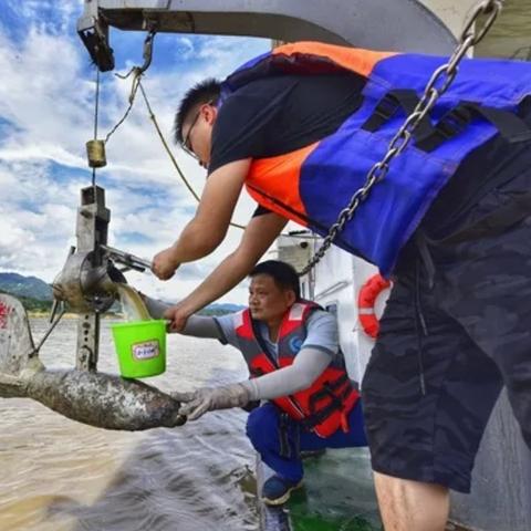 水文监测岗土木，守护江河安澜的重要职责