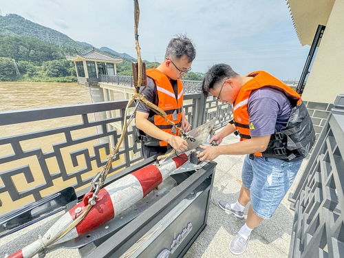 吉林水文监测直播，实时掌握水情，共筑安全防线